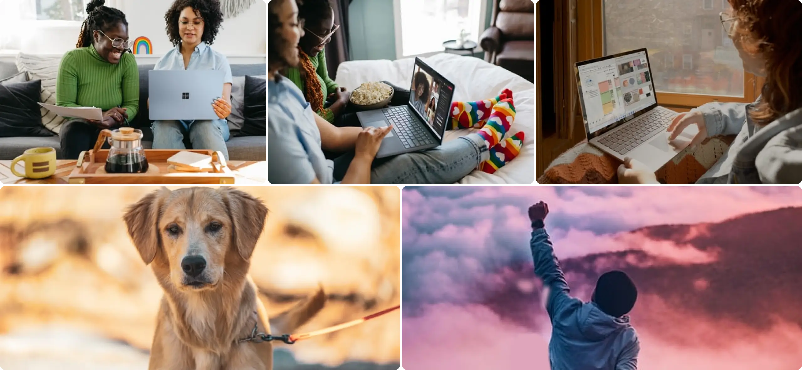 Two women are sitting on a couch, one with glasses wearing a green sweater and the other in a light blue shirt, looking at a laptop together. A coffee maker and a mug are on a tray in front of them. The image also features various smaller pictures: a golden retriever looking directly at the camera, a person sitting comfortably in bed with a laptop displaying a video call, and another person adjusting their laptop in a sunny window.