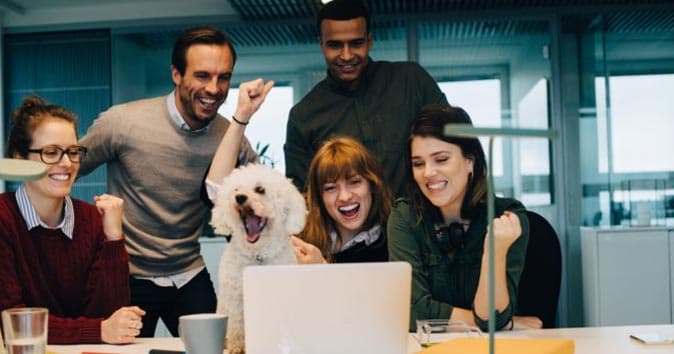 employees looking at the screen and celebrating