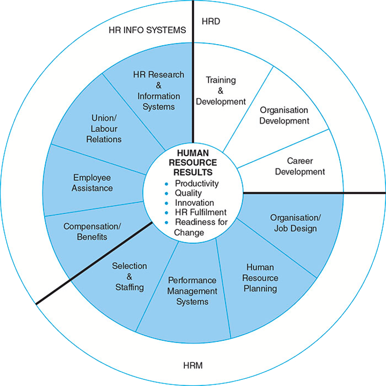 HR strategy wheel with the key responsibilities of HRD