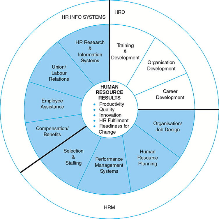 HR strategy wheel with the key responsibilities of HRD