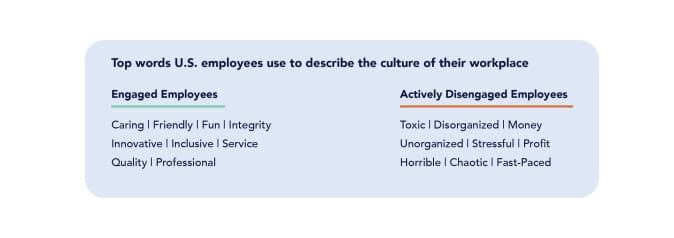 how employees their workplace culture
